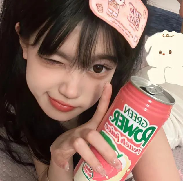 双生赤狐